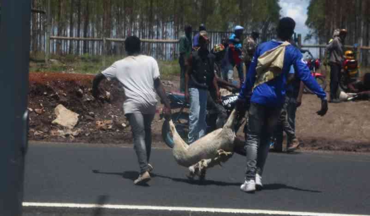 Looters invade Kenyatta family farm, steal livestock.