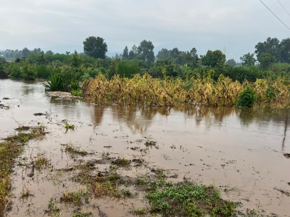 A view of a flooded farm in Musanze. Water flowed along the drainage system which was under construction in order to address the issue of torrential rains that cause damage to residents and their property.