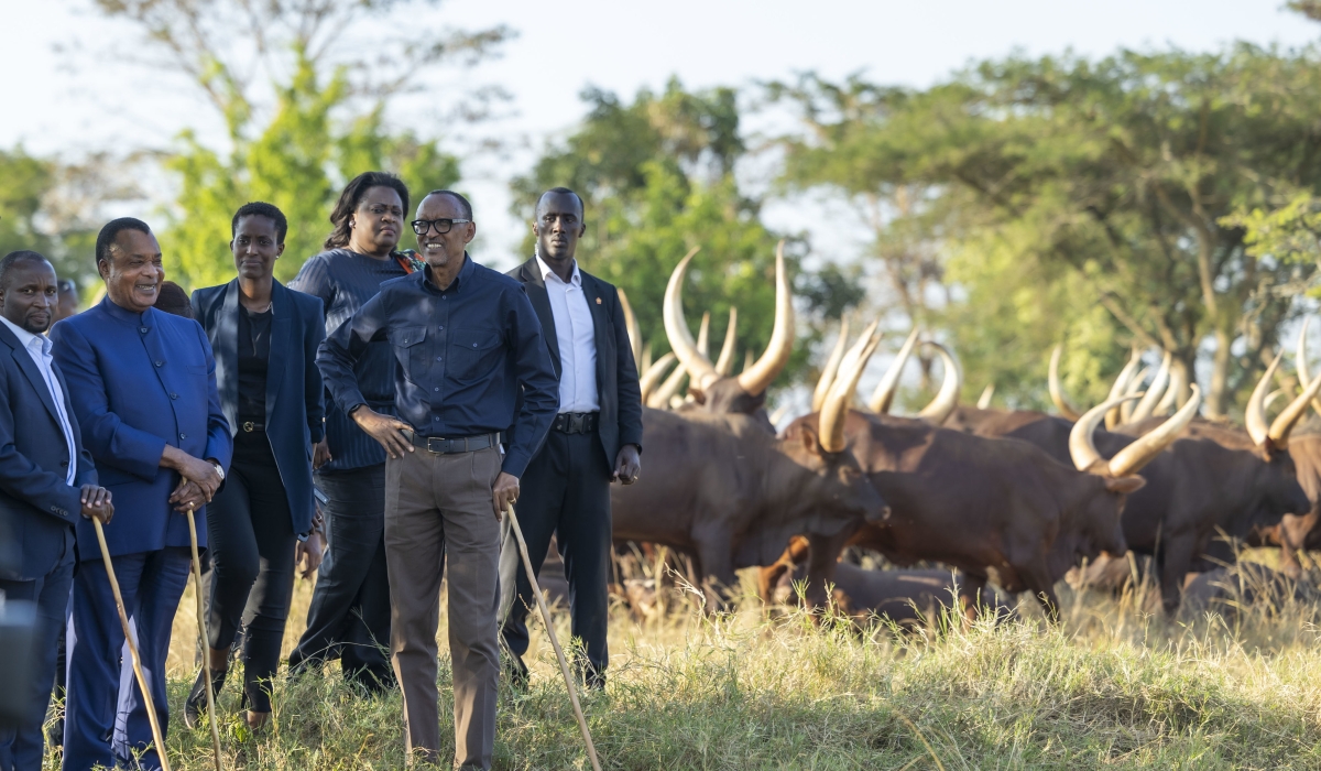 President Paul Kagame and President of the Republic of Congo Sassou Nguesso during a tour of Kagame&#039;s farm at Kibugabuga in Bugesera District on Sunday, July 23. Urugwiro