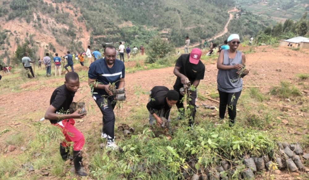 Some people collect seedlings during tree planting activities of the five tree species that are expected to restore land in Rwanda, Courtesy