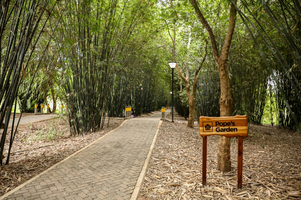 A segment of the newly revamped Wetland Ecotourism park in Kigali. The wetland spanning 121 hectares,has more than 62 indigenous plant species. Photo by Olivier Mugwiza
