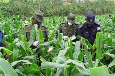 Officers during the launch of the campaign as they joined farmers in the fight against fall army worms to protect farmers from losses caused by the pest. Courtesy