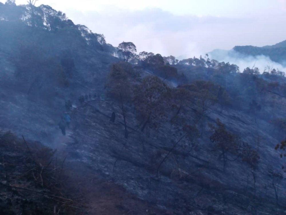 A section of Nyungwe forest under wildfire that inflicted severe damage on part of the forest which is located within the Bweyeye sector of Rusizi district in 2023.Courtesy