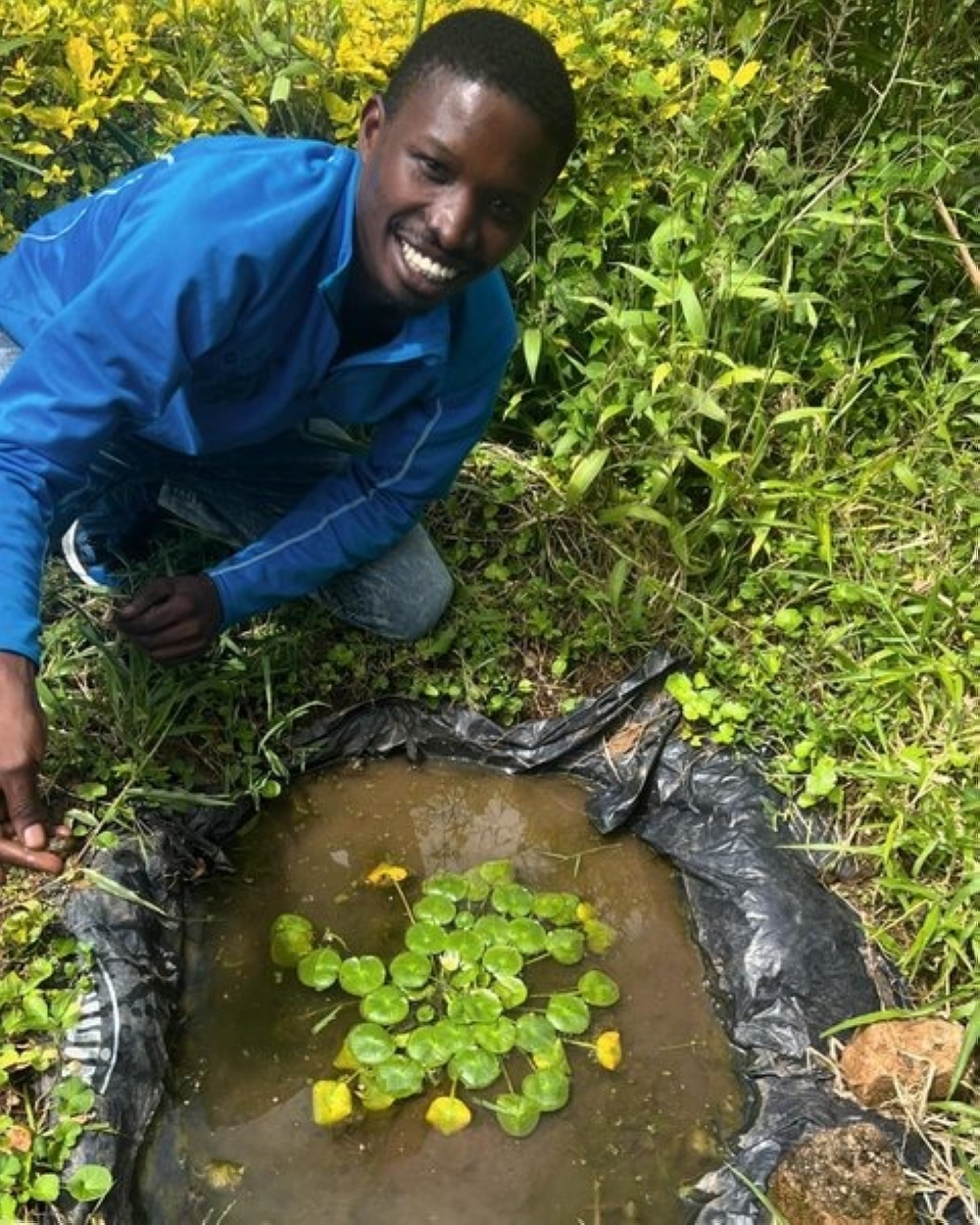 The first plant to complete the life circle in Ex-situ.