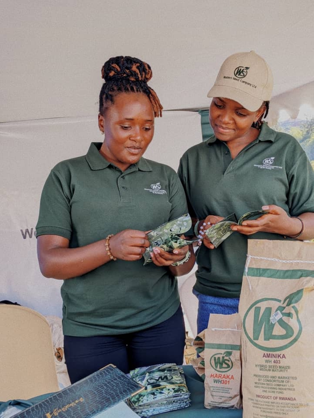 Western Seed Company staff during a campaign to promote the maize varieties