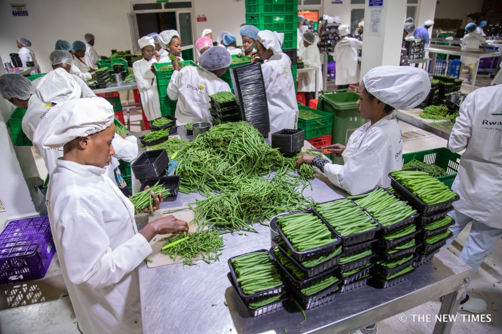 Workers sort fresh green beans for export at NAEB Warehouse in Kigali. File