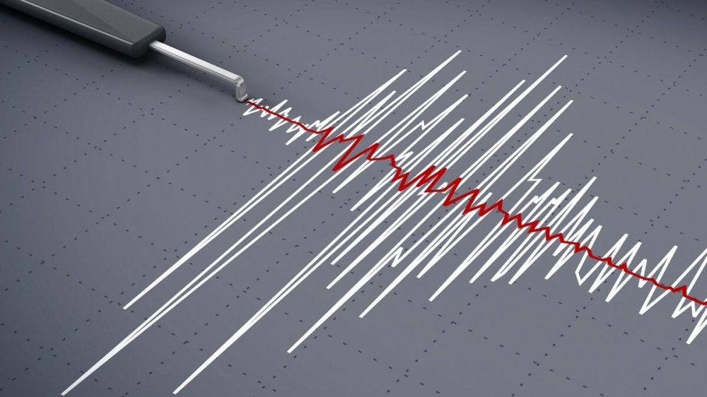F04XXG Seismic activity graph showing an earthquake.