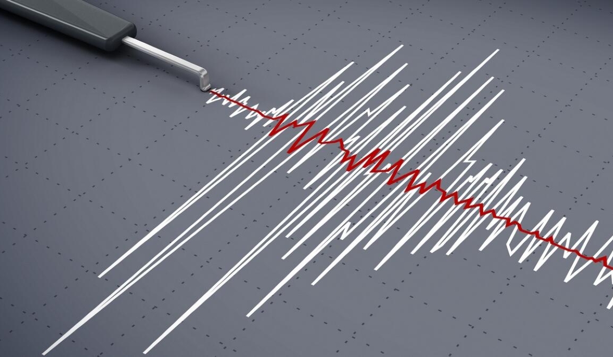 F04XXG Seismic activity graph showing an earthquake.