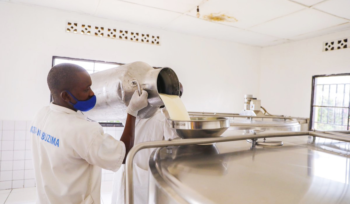 Workers filling milk at a collection centre in Gicuimbi District. Ministry of Trade has revealed that the minimum price of raw milk delivered by dairy farmers to milk collection centres (MCCs) is Rwf400 per litre. Fil