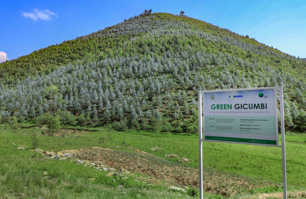 A landscape view of the reforested area. Green Gicumbi project has rehabilitated 1,107 hectares of degraded forests in the past three years. Courtesy