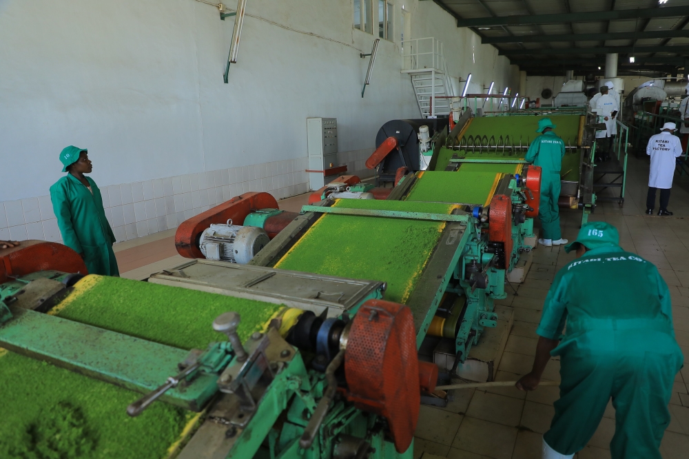 Worker processing tea at Kitabi Tea Factory in Nyamagabe. Rwanda needs at least $3.4 billion annually for critical investments in structural transformation. Photo by Craish Bahizi