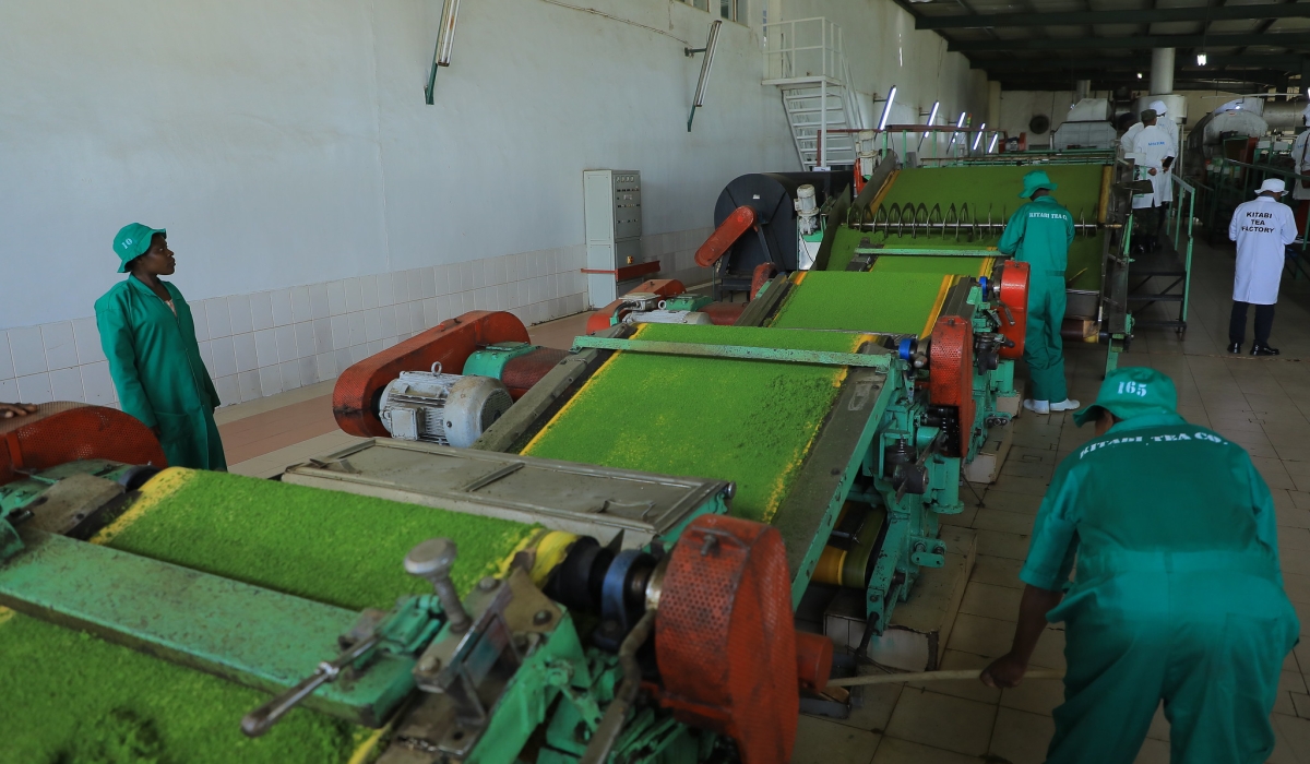 Worker processing tea at Kitabi Tea Factory in Nyamagabe. Rwanda needs at least $3.4 billion annually for critical investments in structural transformation. Photo by Craish Bahizi