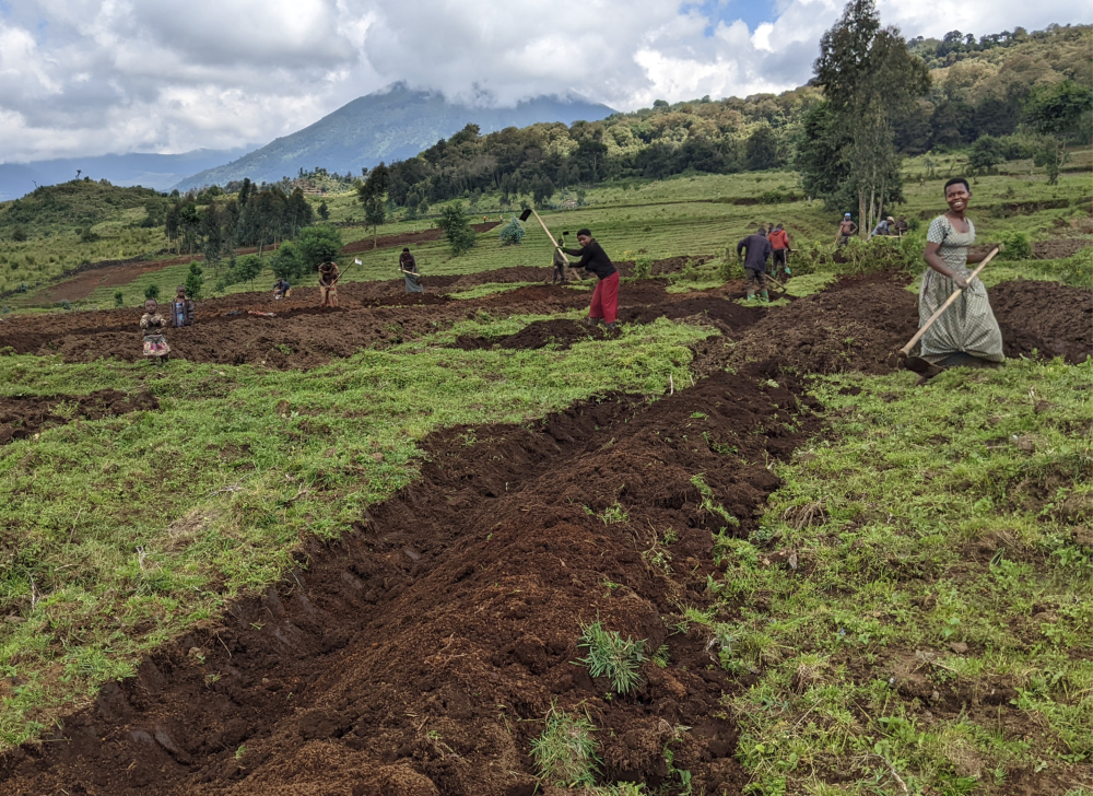 Farmers working in their fields in Kinigi Sector, Musanze District, one of the areas with fertile land in the country/Photo by Germain Nsanzimana.