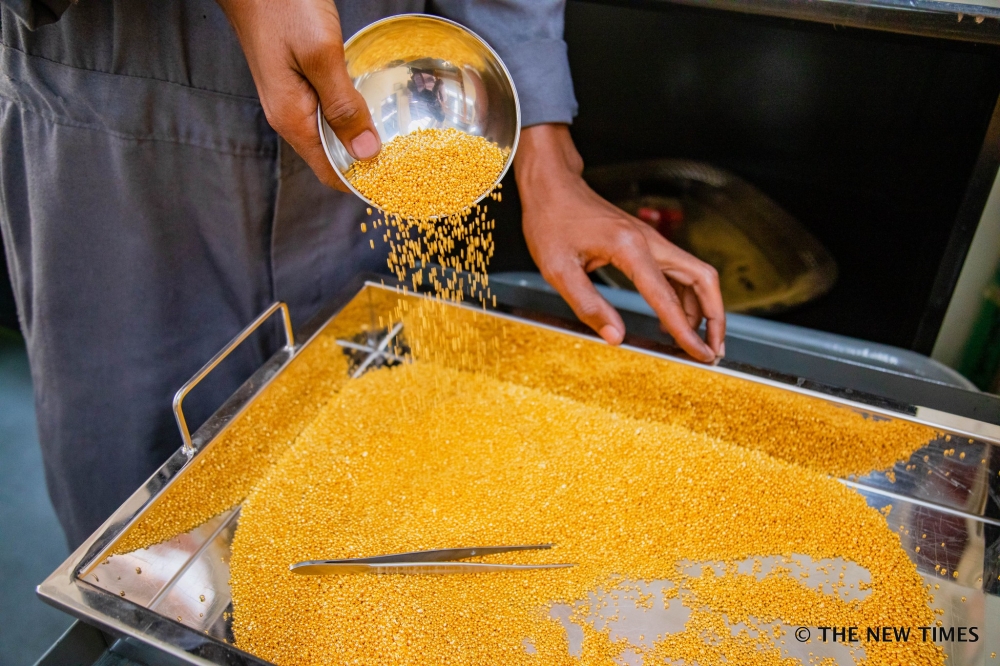 Processed gold at Gasabo Gold Refinery at Kigali Special Economic Zone.File