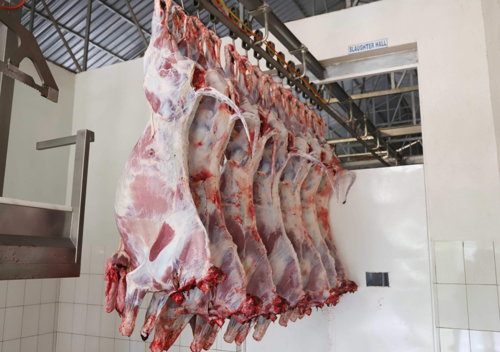 Rwanda’s target was to achieve 215,000 tonnes of meat produced annually was reached by more than 90 per cent in 2023. Craish Bahizi