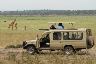 Akagera National Park generated $4.8 million (Rwf6.45 billion) in tourism revenues in in 2023.