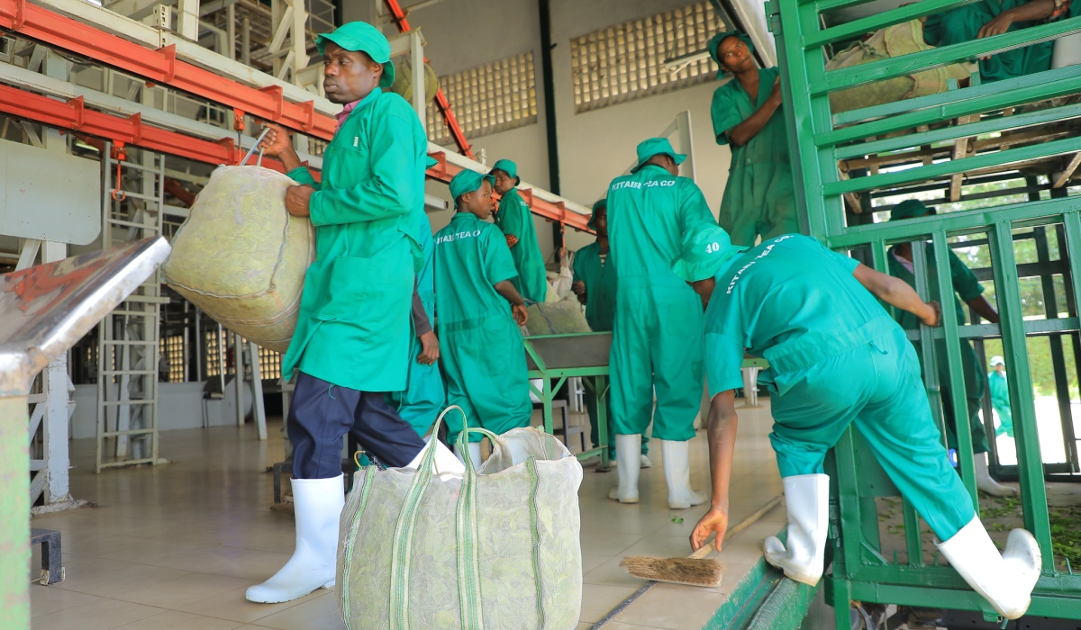 Workers on duty at Kitabi Tea Factory in Nyamagabe District. Tea is one of Rwanda’s top agricultural exports. Photo by Craish Bahizi