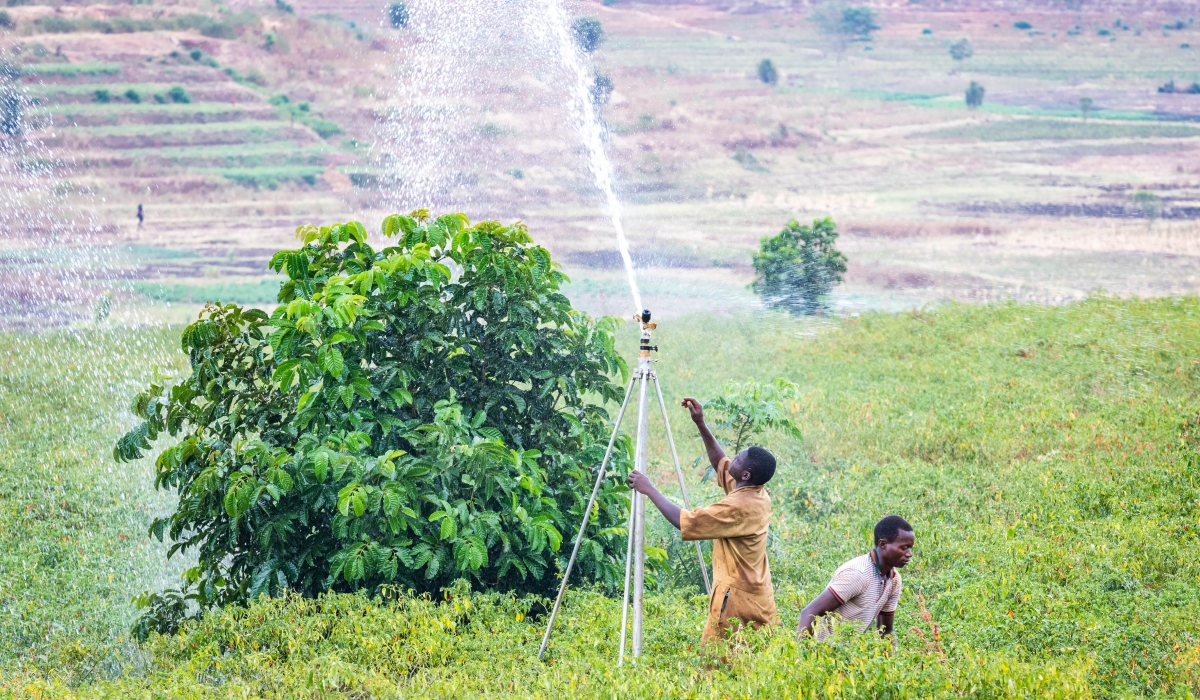 Farmers irrigating chills pepper crops in Kayonza District, the intra-African agricultural trade reached a new high of $17 billion, finally surpassing its previous peak in 2013, and 2024. Photo by Craish Bahizi