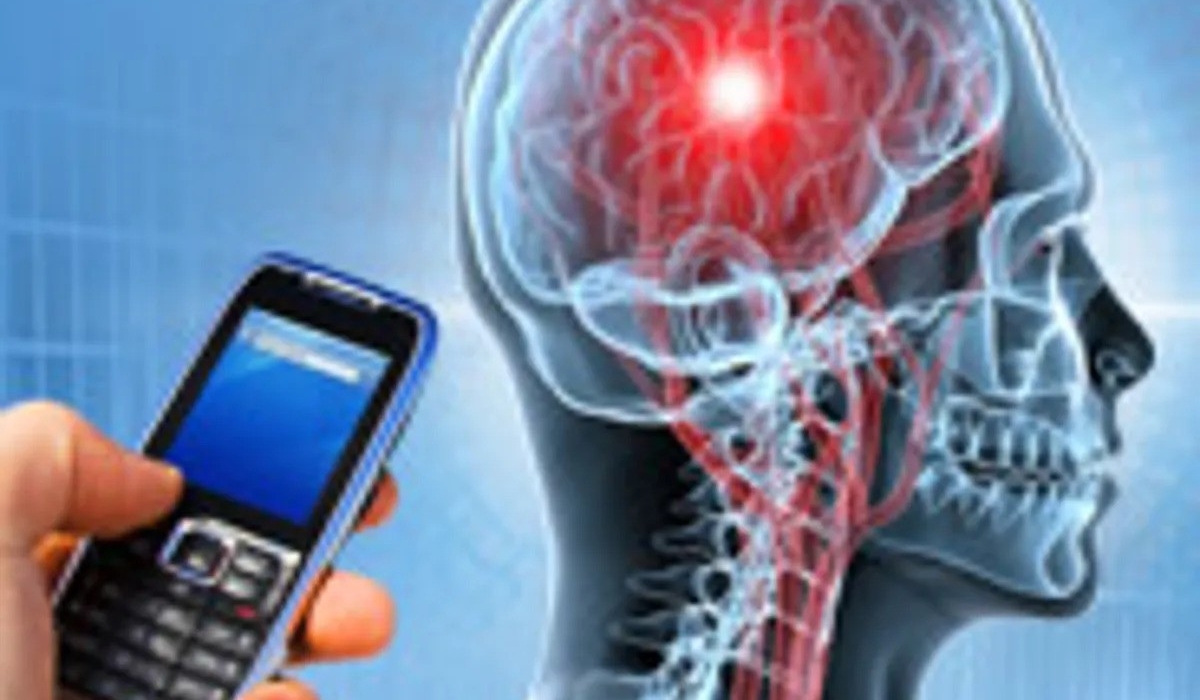 World Health Organization study finds no evidence linking mobile phone use to brain cancer. Internet