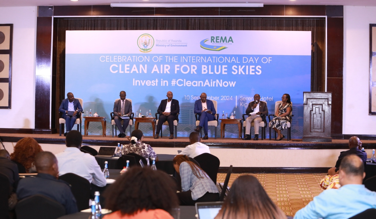 Experts during a panel discussion during the celebration the International Day of Clean Air for Blue Skies on Tuesday, September 10. Courtesy