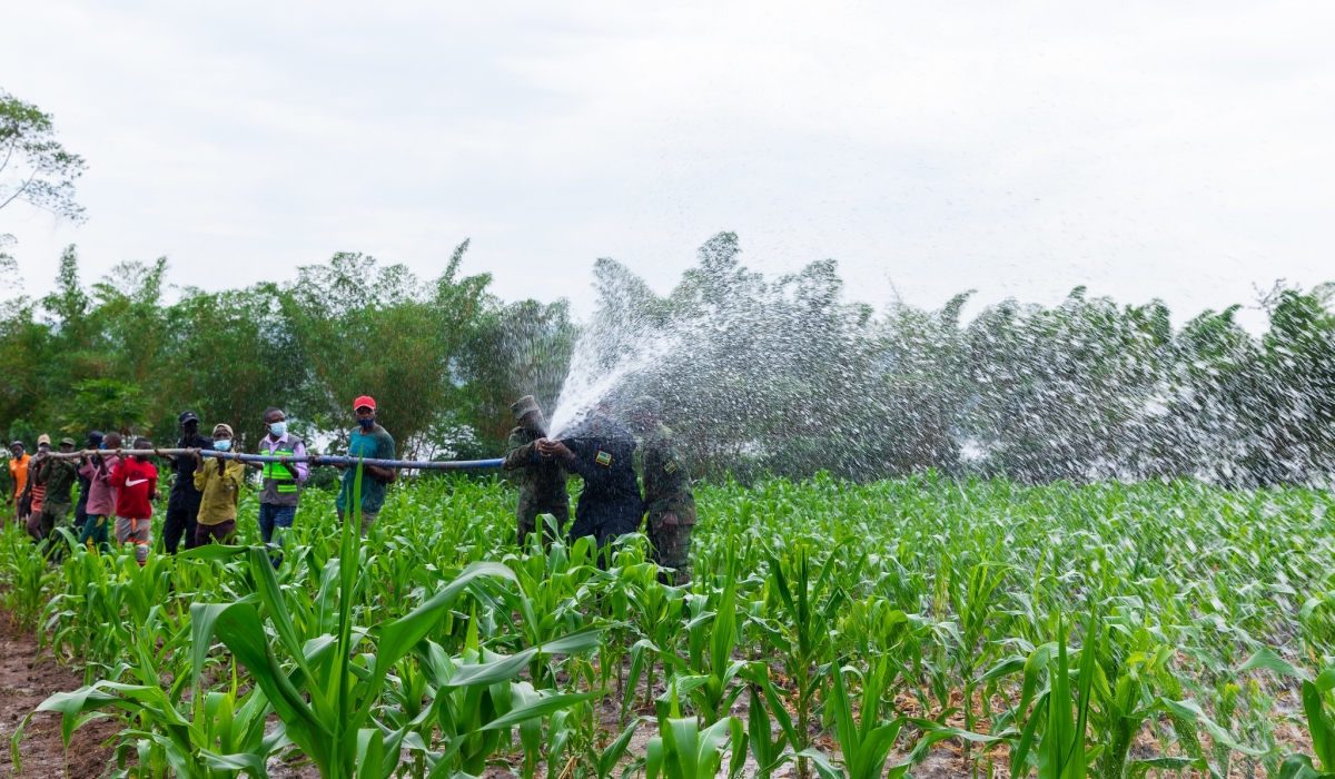 Residents and security officers during an irrigation exercise in  Gatsibo. Rwanda’s agriculture sector is expected to achieve over 6 per cent annual growth. Courtesy