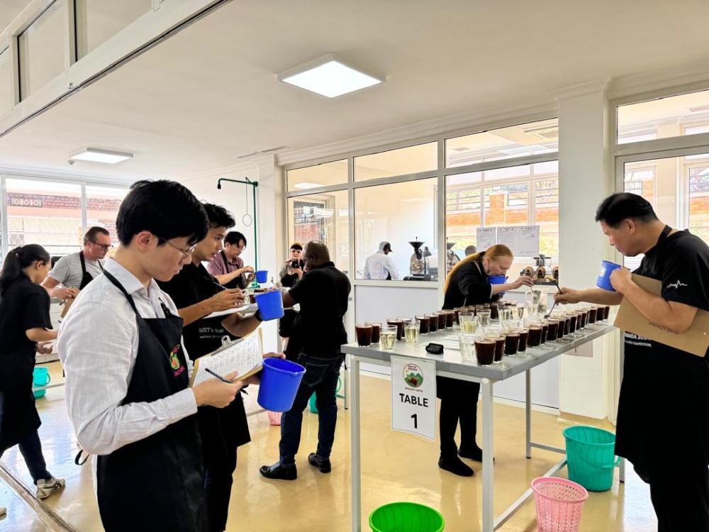 International jurors during a cupping session at NAEB’s coffee sensory laboratory, in July 2024 (courtesy photo).