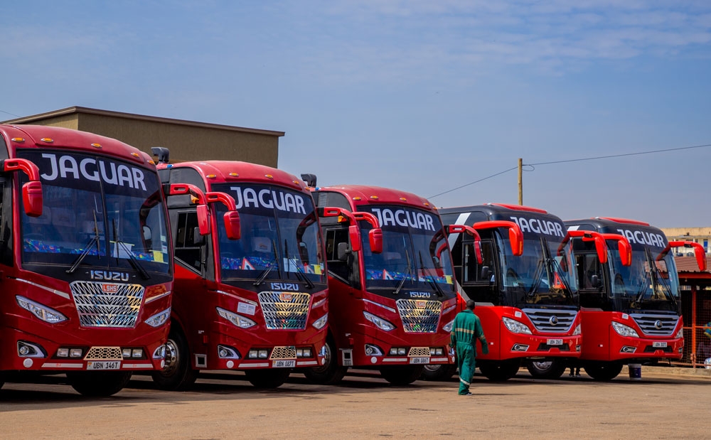 Jaguar Bus Company suspended