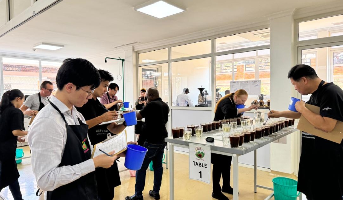 International jurors during a cupping session at NAEB’s coffee sensory laboratory, in July 2024 (courtesy photo).