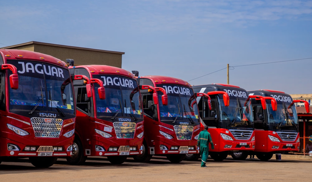 Jaguar Bus Company suspended