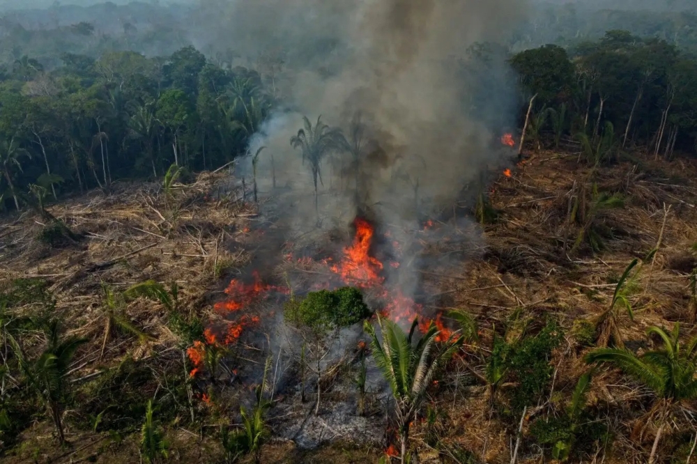 Deforestation in Africa’s montane forests is driving a sharper rise in temperatures and cloud levels than climate change alone