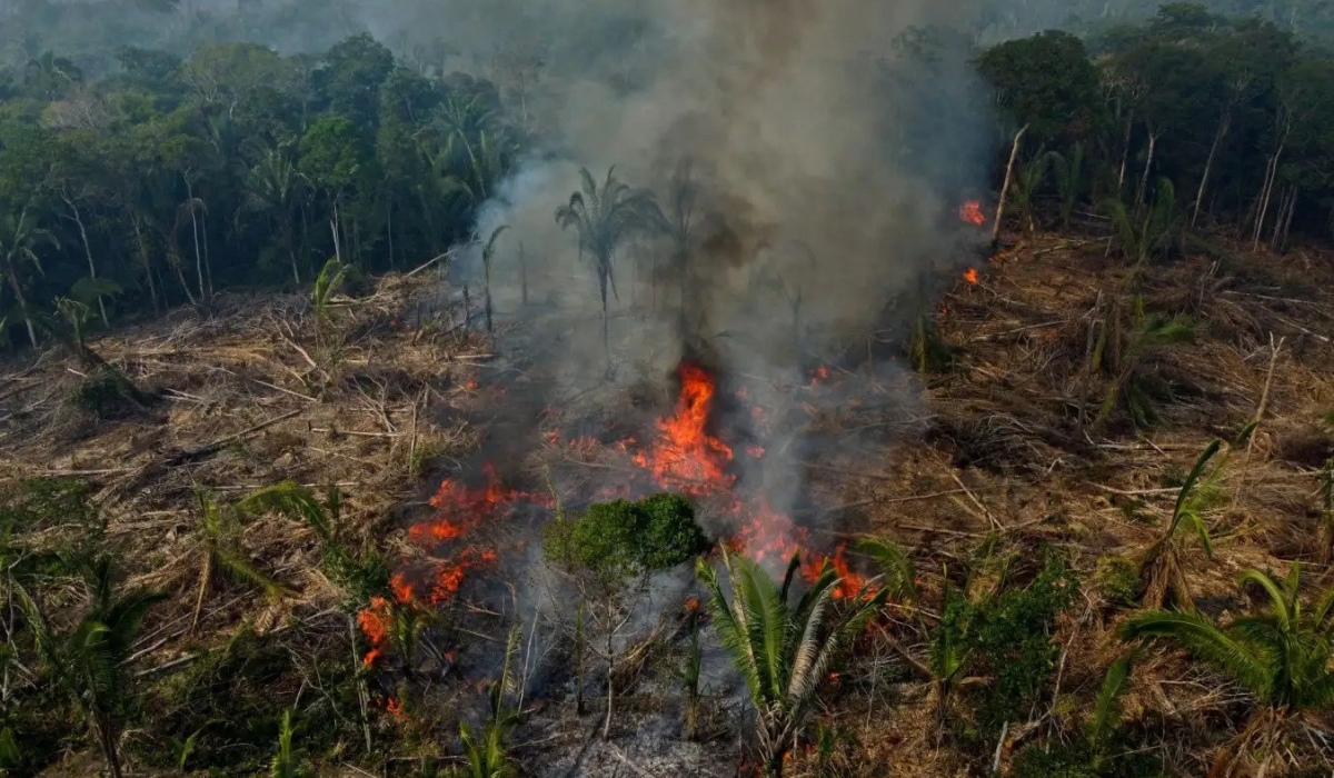 Deforestation in Africa’s montane forests is driving a sharper rise in temperatures and cloud levels than climate change alone