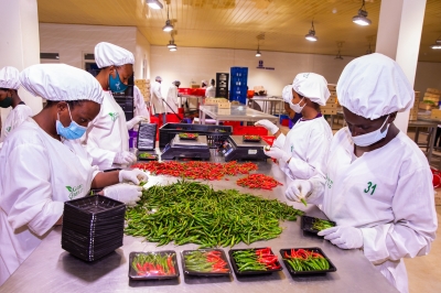 Workers sort fresh chilli for export at NAEB in Kigali.  Fisher Global Ltd based in Rwamagana District, exports 20 containers of dried chilli (amounting to about 300 tonnes as a container holds 15 tonnes) to the Asian country annually. File