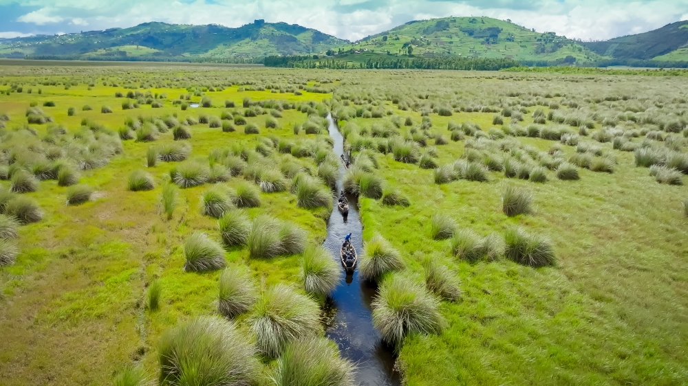 A river through Rugezi Marsh (courtesy photo)