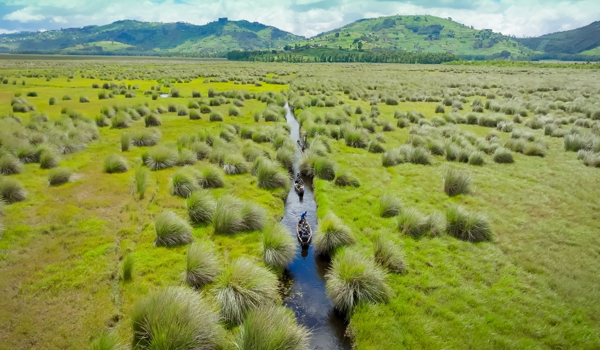 A river through Rugezi Marsh (courtesy photo)