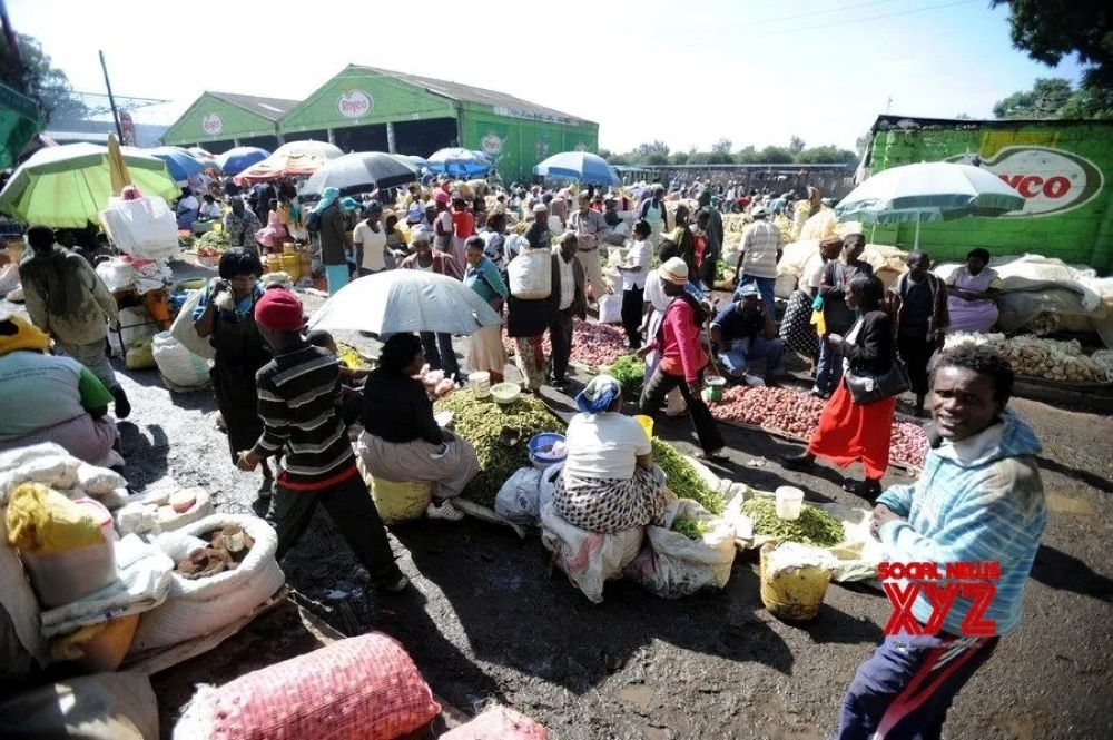 Kenya reintroduces broad bean farming to boost food, nutritional security. Courtesy