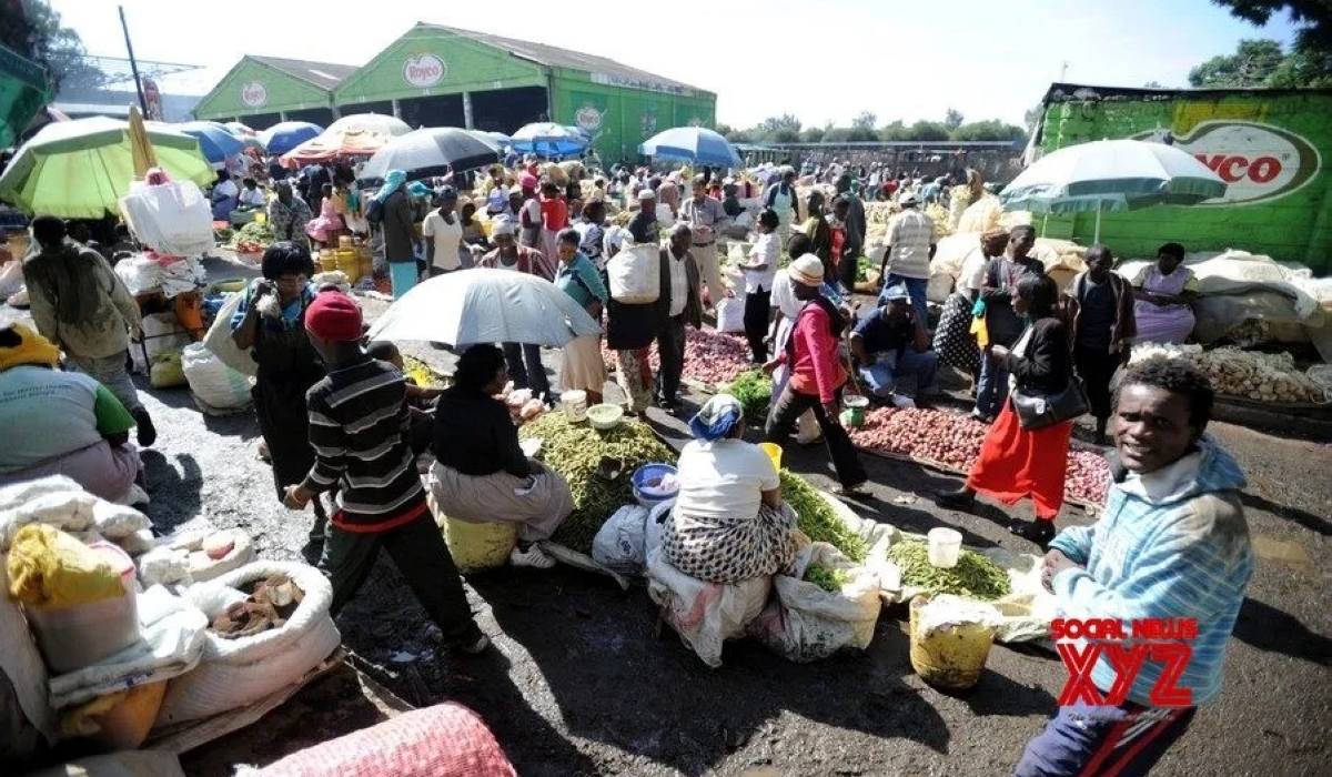 Kenya reintroduces broad bean farming to boost food, nutritional security. Courtesy