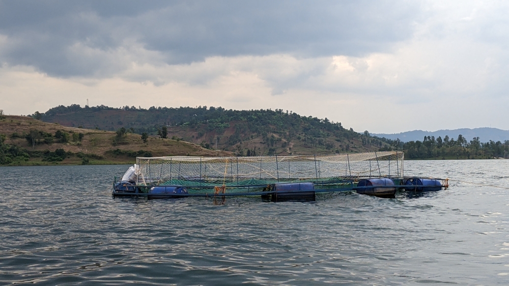 A view of a fish farm in cages on Lake Kivu.