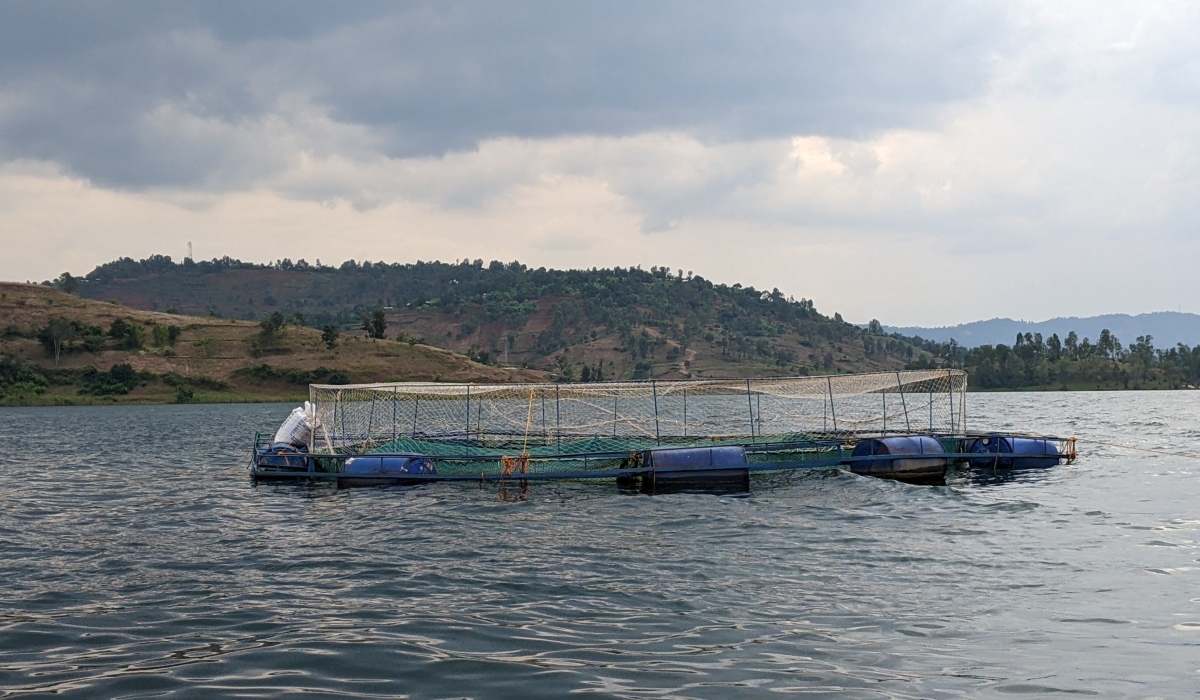 A view of a fish farm in cages on Lake Kivu.