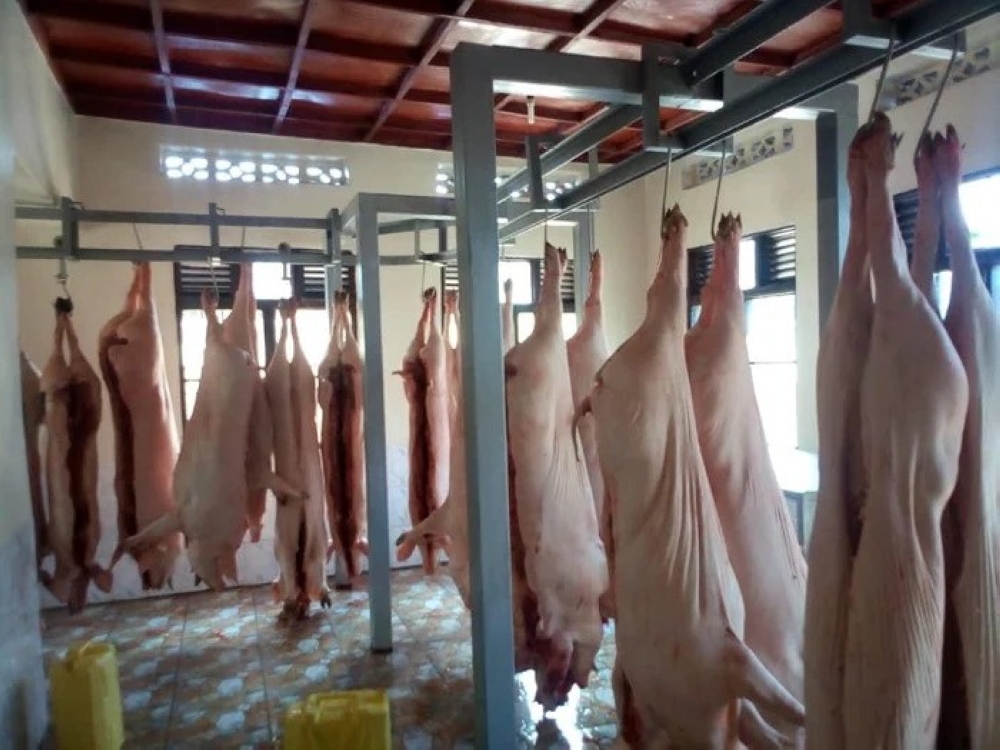 Inside Gakenke based pig abattoir. With the demand for pork set to rise, Rwanda is building more pig abattoirs countrywide. Courtesy