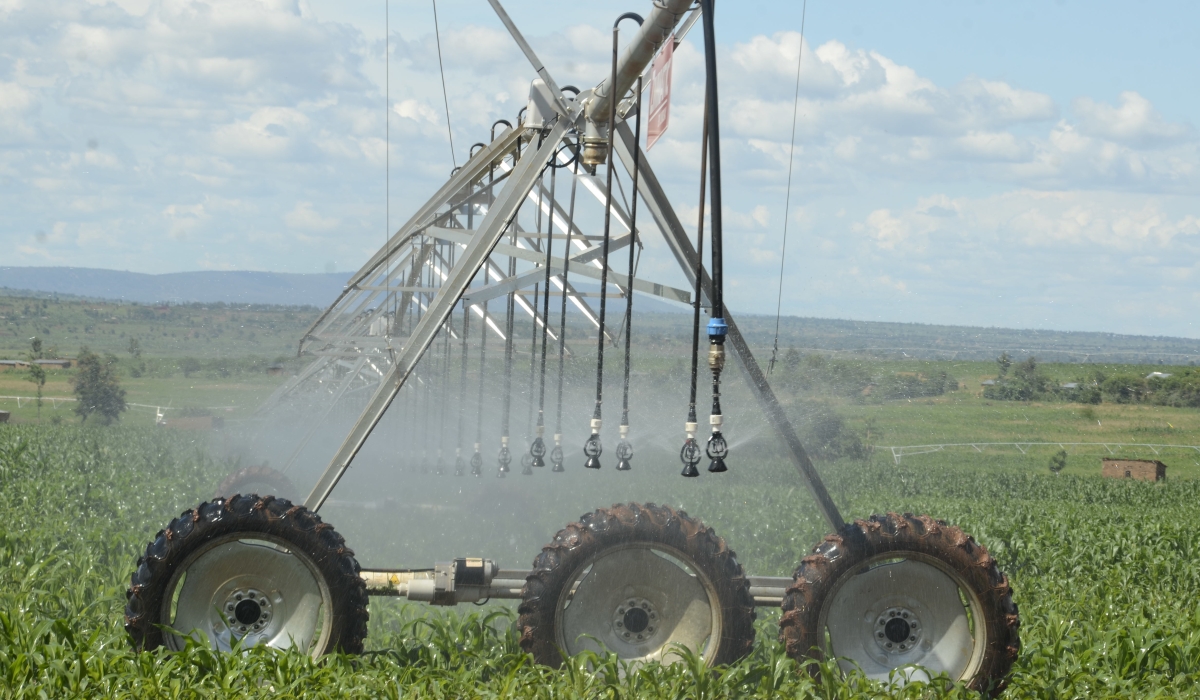 A view of Nasho solar powered irrigation project in Eastern Province. Rwanda is set to increase the area irrigated by solar power from the current 646 hectares to 1,146 hectares by 2029 under NST2.