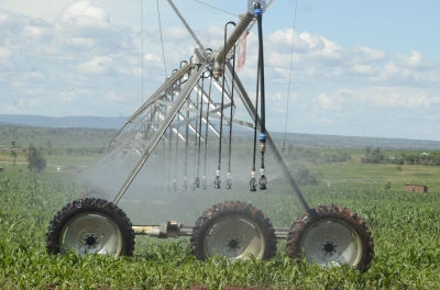 A view of Nasho solar powered irrigation project in Eastern Province. Rwanda is set to increase the area irrigated by solar power from the current 646 hectares to 1,146 hectares by 2029 under NST2.