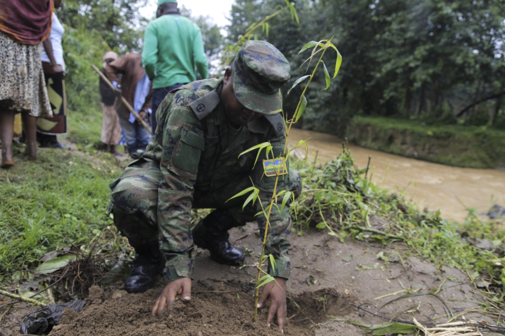 Rwanda Defence Force officer plants a bamboo tree on the banks of River Sebeya in Rubavu District. Sam Ngendahimana