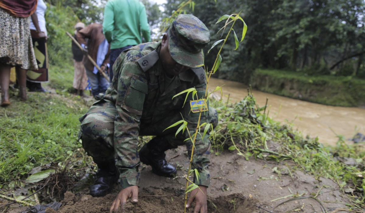 Rwanda Defence Force officer plants a bamboo tree on the banks of River Sebeya in Rubavu District. Sam Ngendahimana