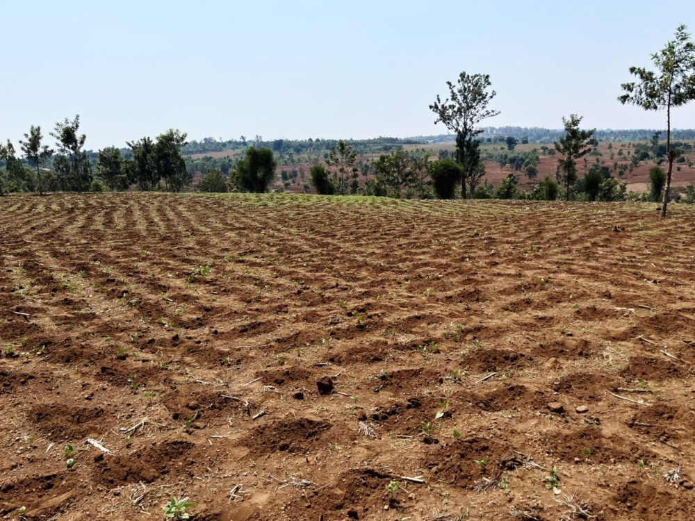 According to officials 80 percent of issues received in Kirehe district are land related issues.