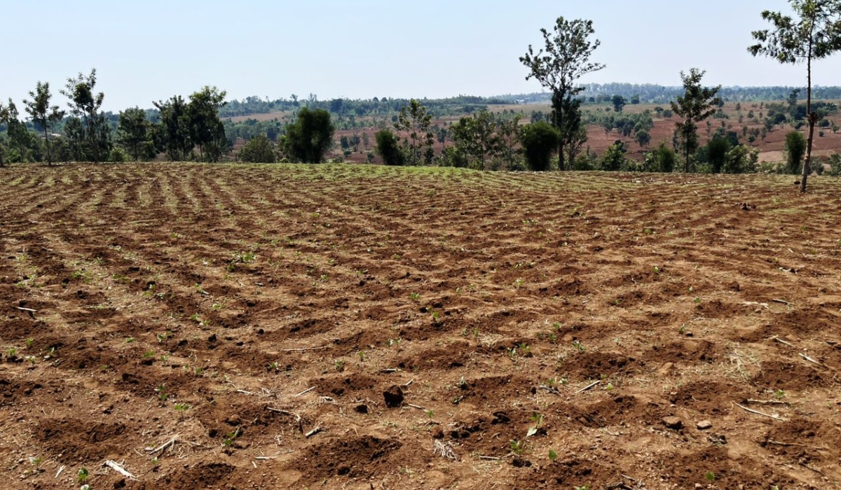 According to officials 80 percent of issues received in Kirehe district are land related issues.