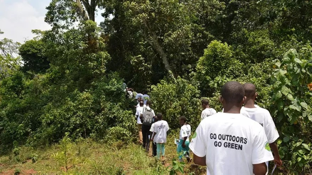 Students tour Busaga forest in Rongi Sector of Muhanga District. File