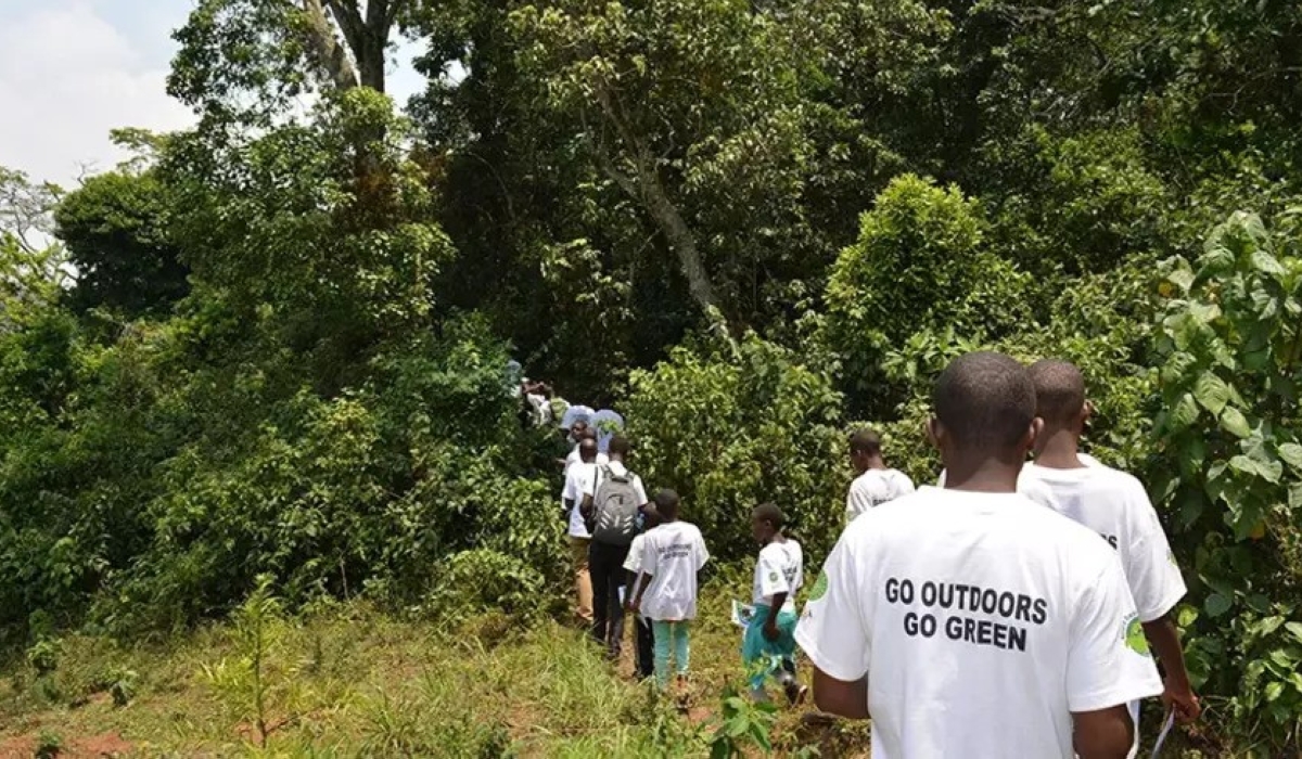 Students tour Busaga forest in Rongi Sector of Muhanga District. File