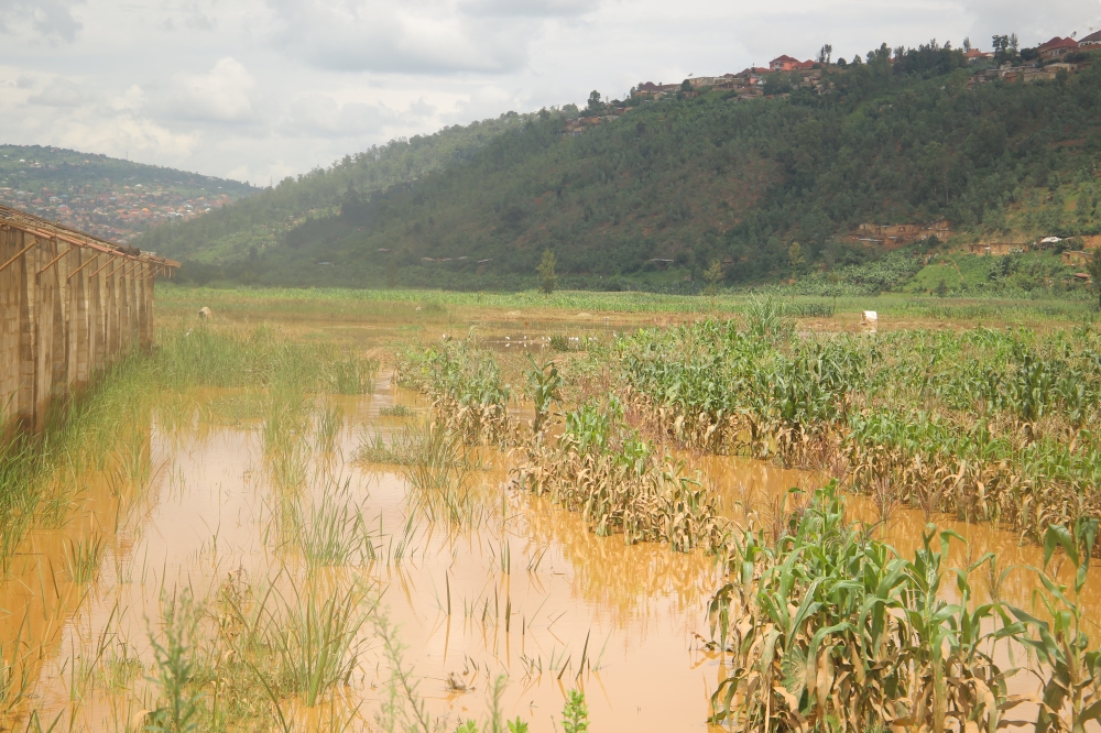 A flooded Nyabugogo marshland in Kigali. Rwanda will use the funds to restore the lower Nyabarongo River watershed to reduce flood risk, landslides, and soil erosion. Sam Ngendahimana