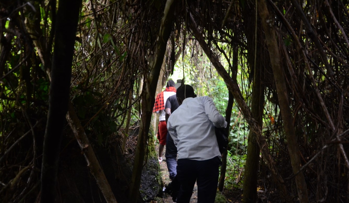 Local visitors during a guided tour of Buhanga Eco-Park in Musanze District. According to a new ministerial order, Buhanga forest is now part of Volcanoes National Park, Ngendahimana