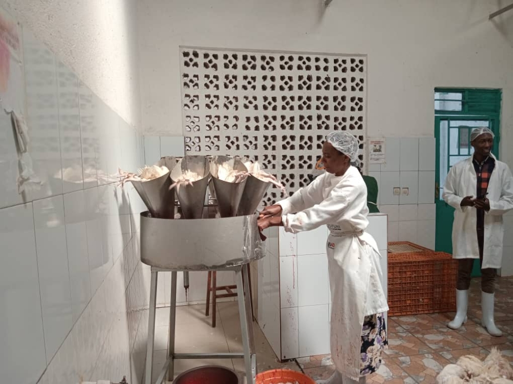 A worker operates a machine inside a poultry slaughterhouse in Rutsiro District in the Western Province. Photos: Germain Nsanzimana.